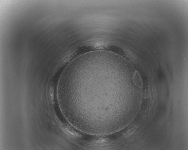 X0000062630646200512231015