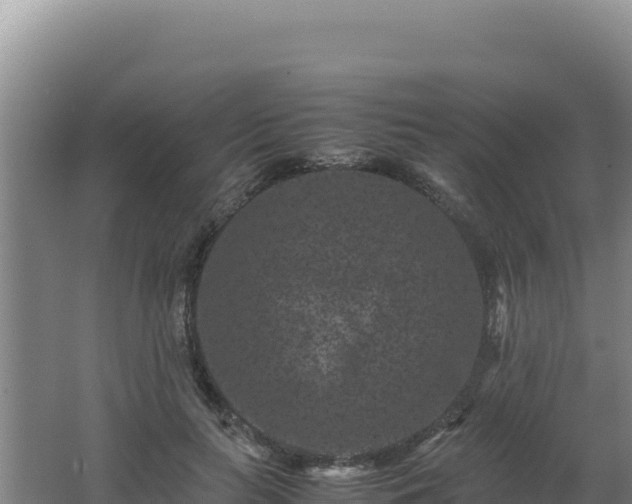 X0000062630647200512231015