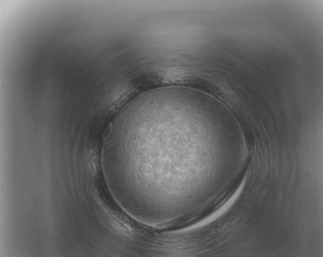 X0000062630648200512231015