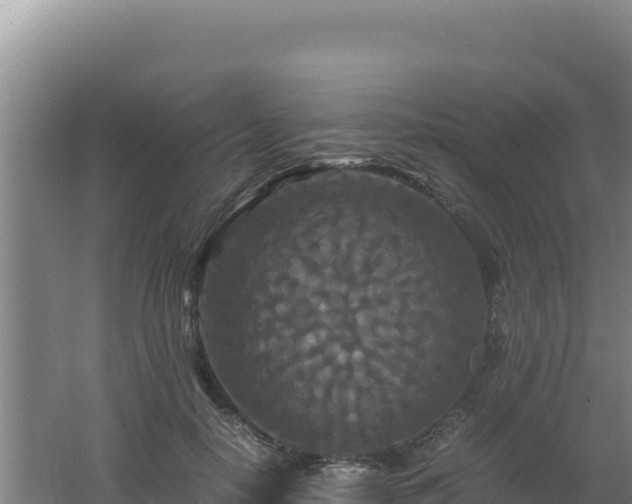 X0000062630650200512231015