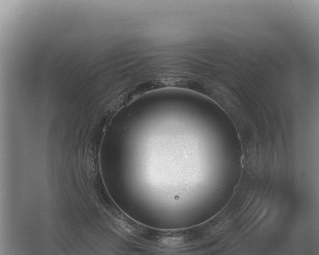 X0000062630653200512231015