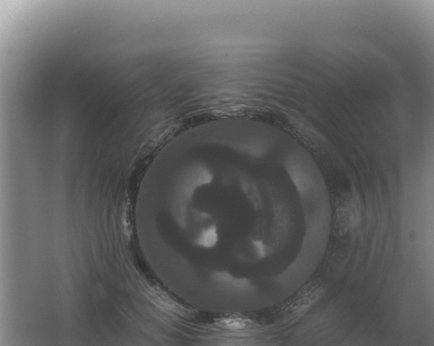 X0000062630654200512231015