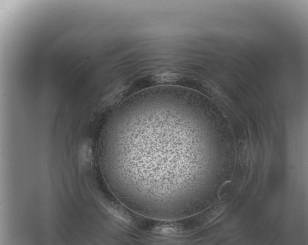 X0000062630655200512231015