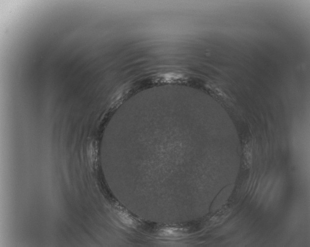 X0000062630657200512231015