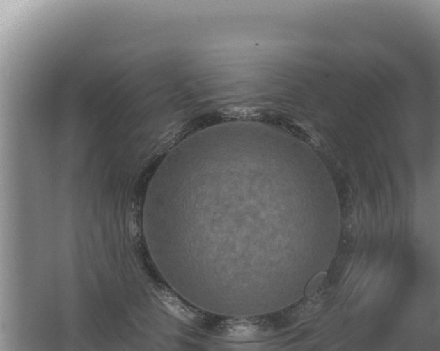 X0000062630658200512231015