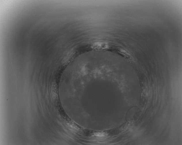 X0000062630659200512231015