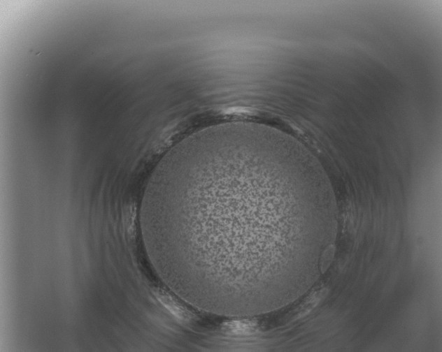 X0000062630660200512231015