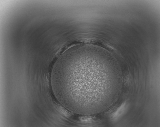 X0000062630661200512231015