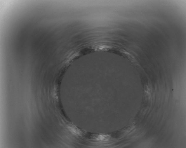 X0000062630663200512231015