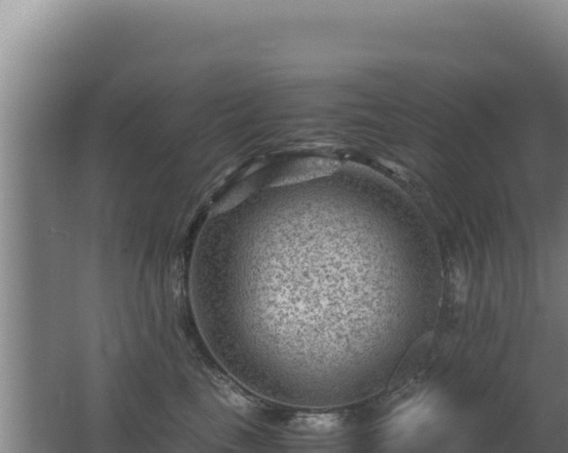 X0000062630665200512231015