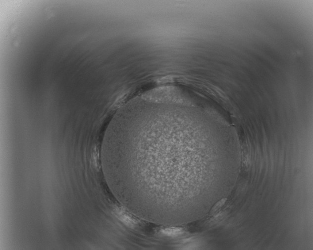 X0000062630669200512231015