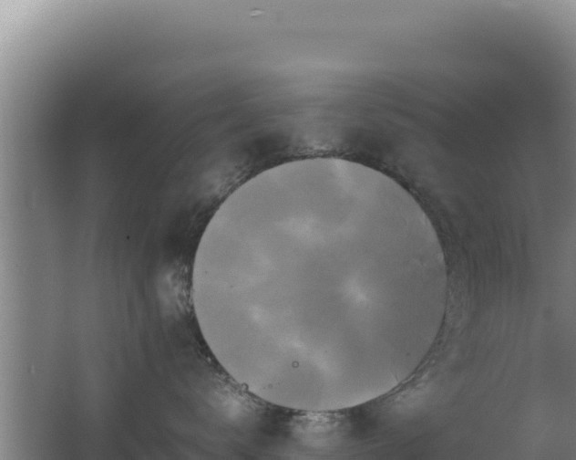 X0000062630672200512231015