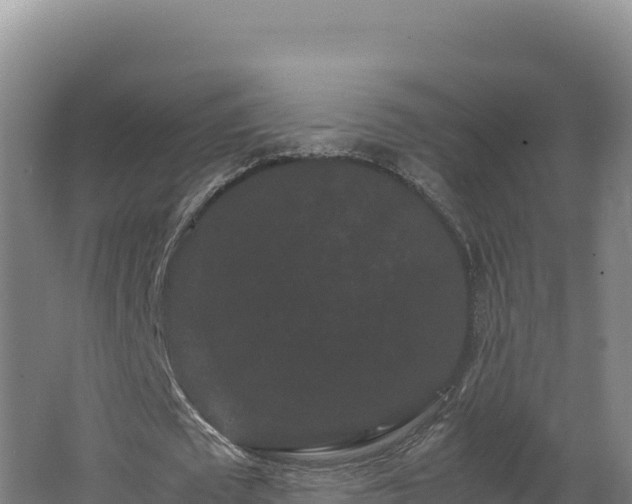 X0000062630673200512231014