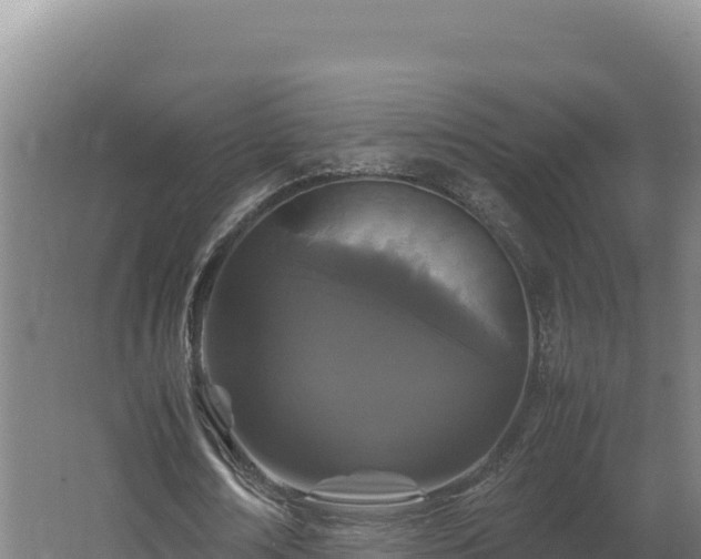 X0000062630674200512231014