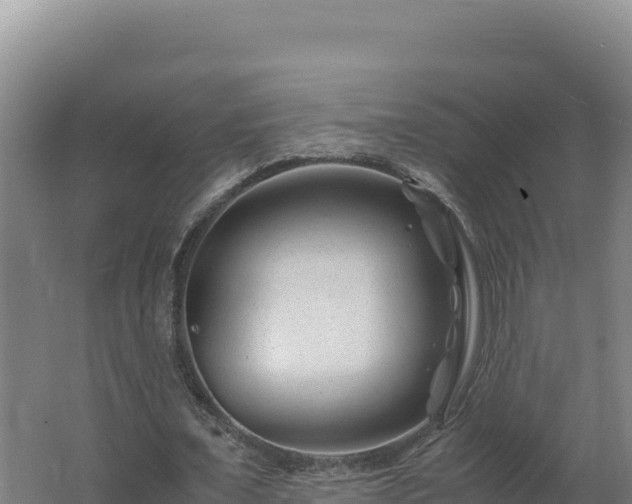 X0000062630675200512231014