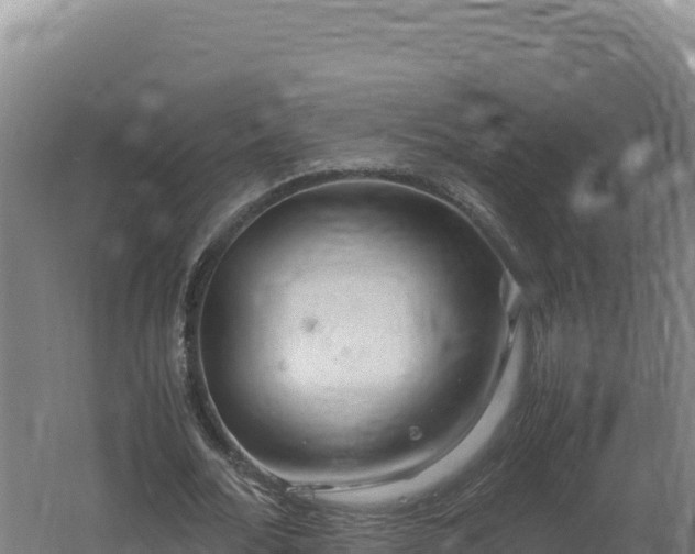 X0000062630676200512231014