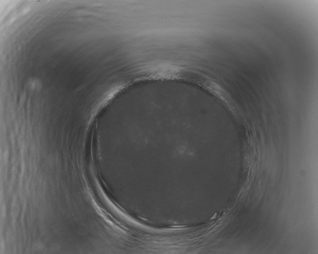 X0000062630677200512231014