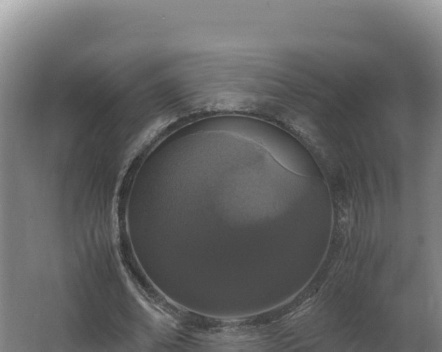 X0000062630678200512231014