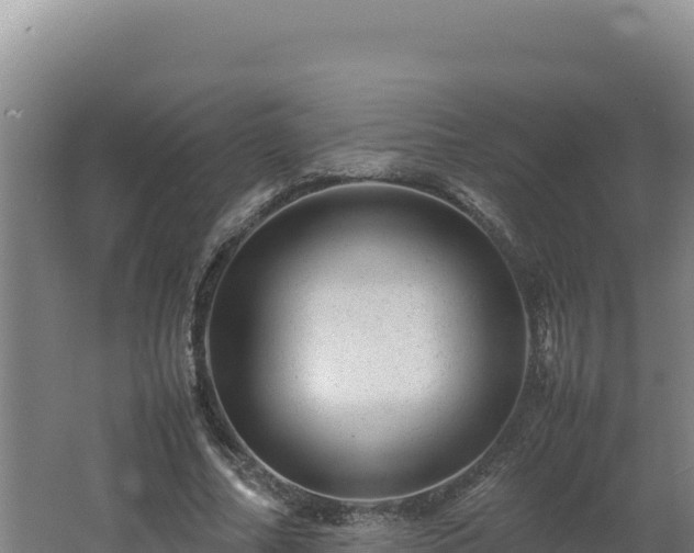 X0000062630682200512231014