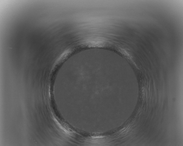 X0000062630686200512231014