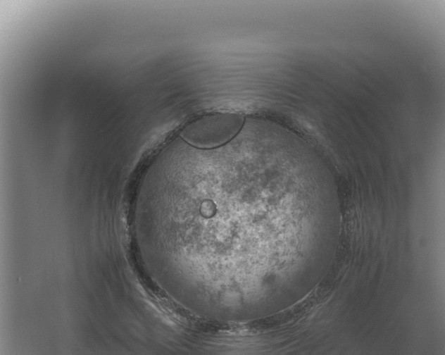 X0000062630688200512231014