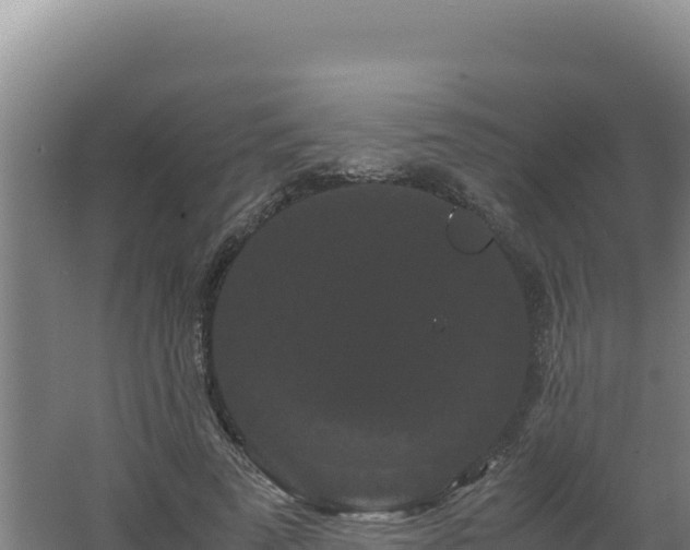 X0000062630689200512231014