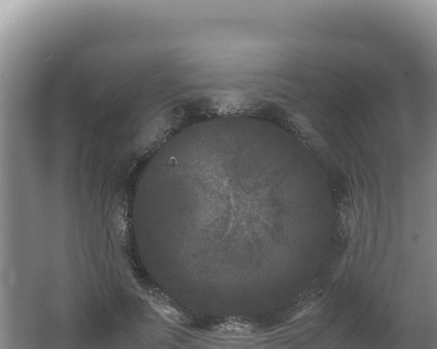 X0000062630691200512231014