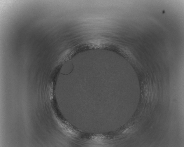 X0000062630694200512231014