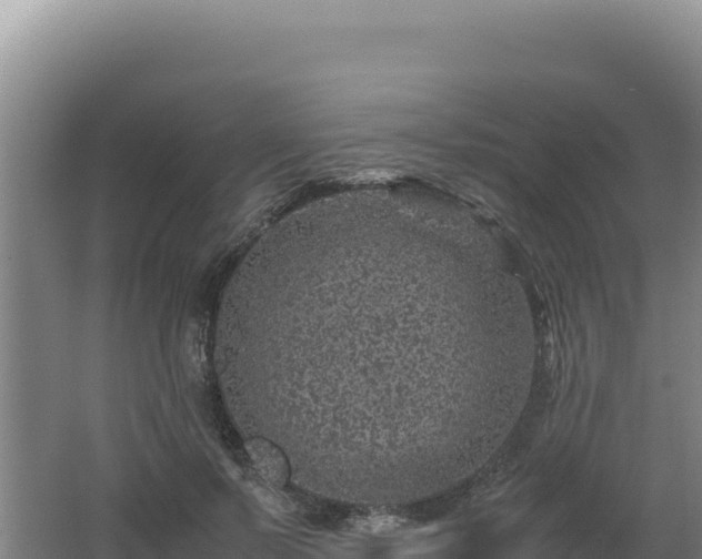 X0000062630695200512231014