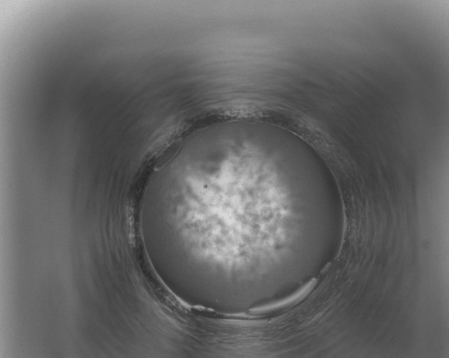 X0000062630696200512231014