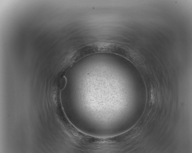 X0000062630698200512231014