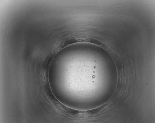 X0000062630699200512231014