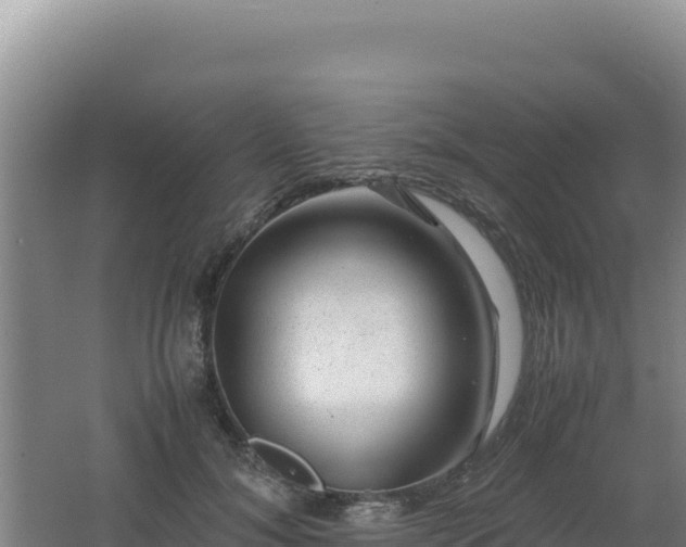 X0000062630700200512231014