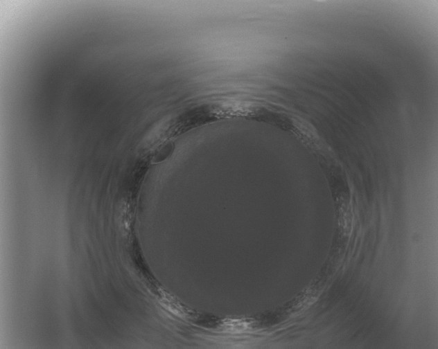 X0000062630701200512231014