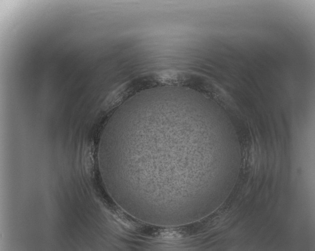 X0000062630702200512231014