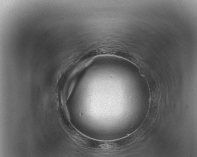 X0000062630703200512231014