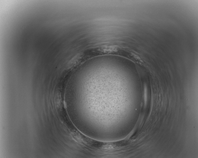 X0000062630704200512231014