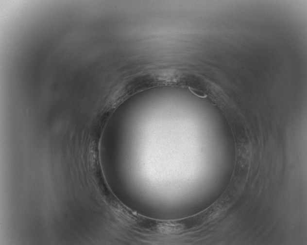 X0000062630707200512231014