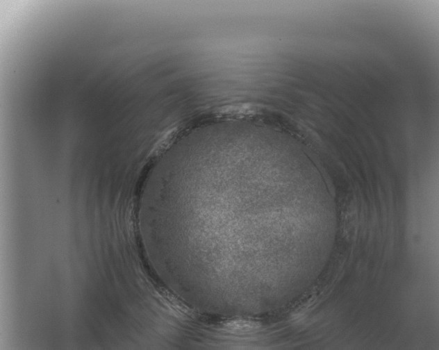 X0000062630708200512231014