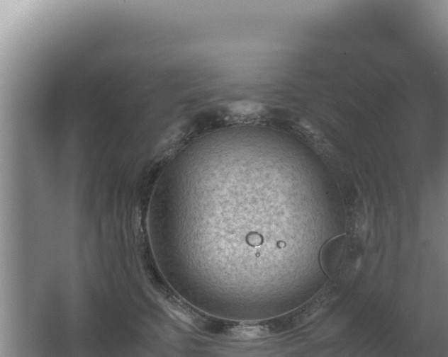 X0000062630711200512231013