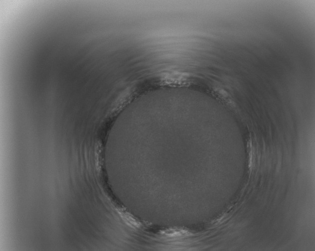 X0000062630712200512231013