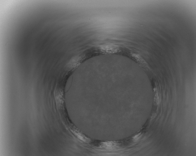 X0000062630713200512231013