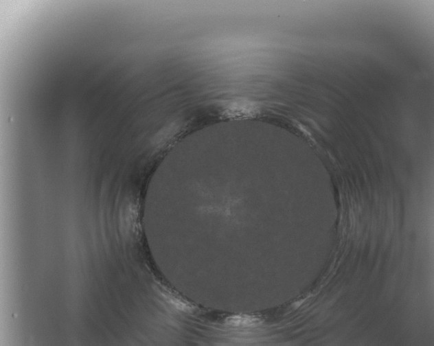 X0000062630714200512231013