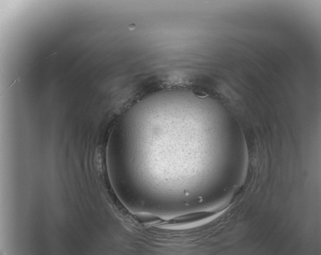 X0000062630715200512231013