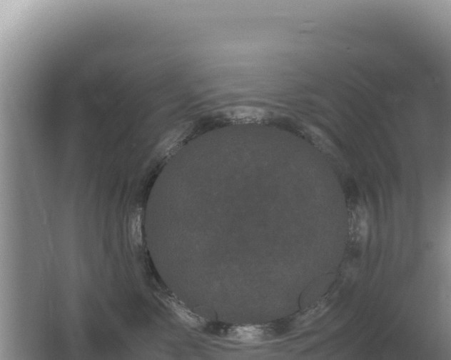 X0000062630717200512231013