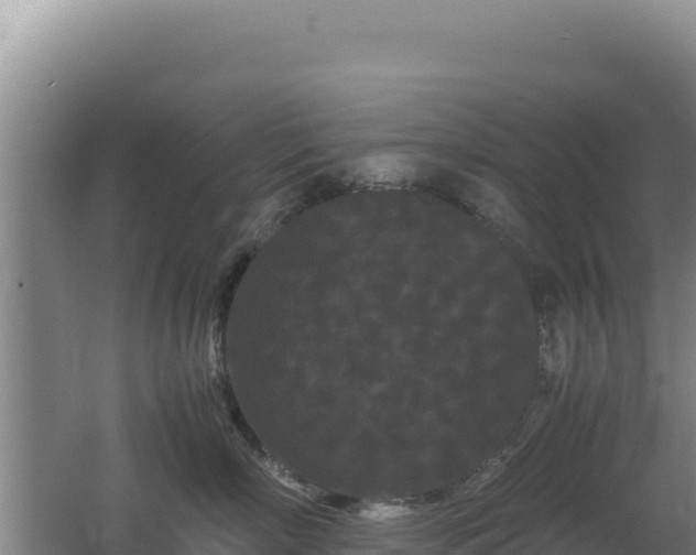 X0000062630718200512231013