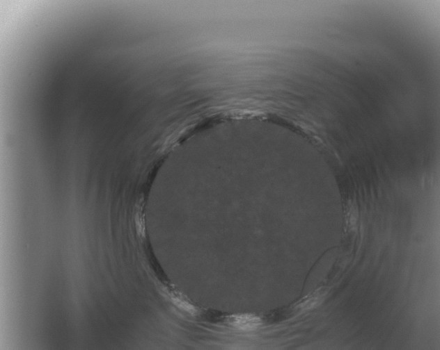 X0000062630719200512231013