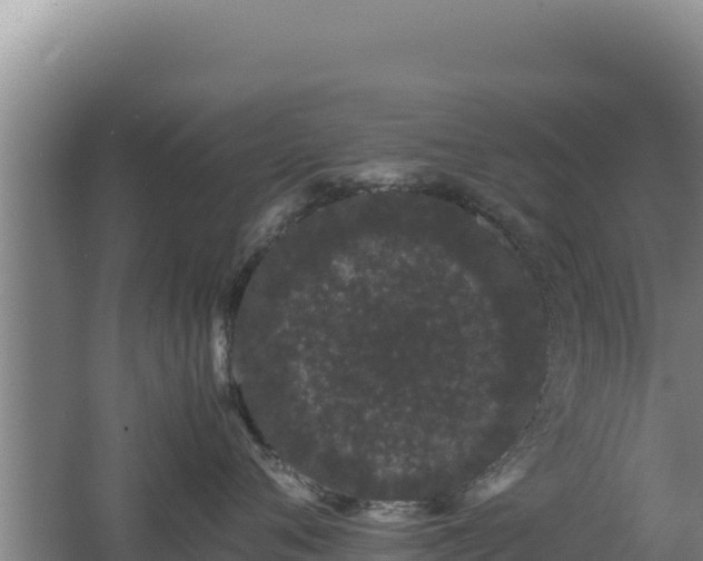 X0000062630720200512231013