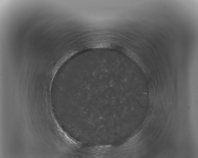 X0000062630721200512231012