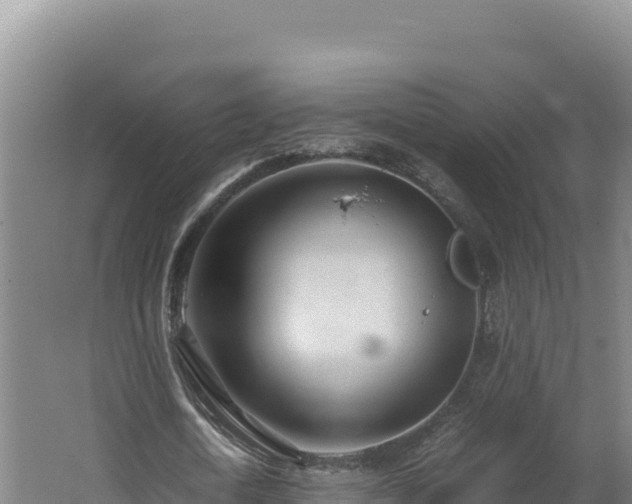 X0000062630722200512231013